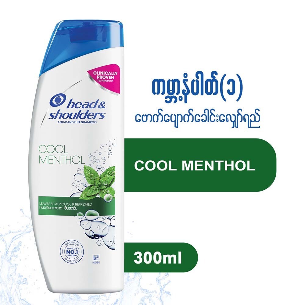 Head & Shoulders Anti Dandruff Shampoo 300ML (Cool Menthol)