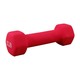 Dumbbell 2LB (Fiber)