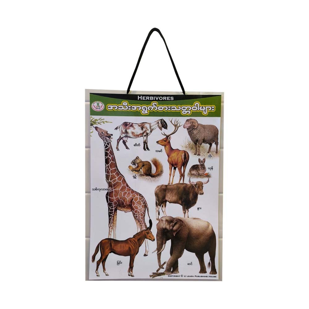U Learn Herbivores Poster