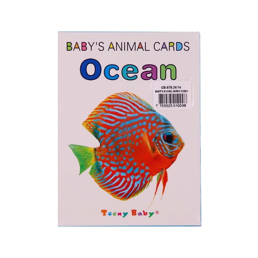 Baby's Animal Cards Ocean