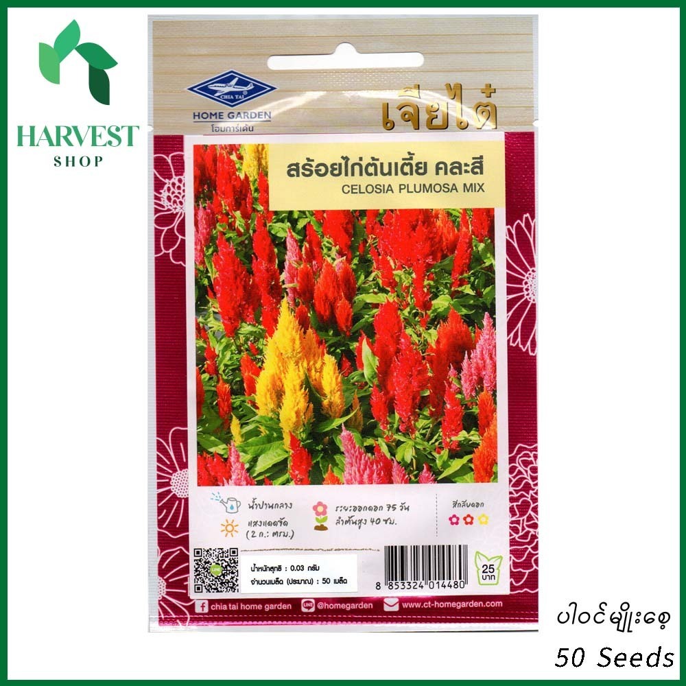 Harvest Shop ကြက်မောက်ပန်းပင်ပုမျိုးစေ့ HF 002