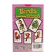 Birds 32 Flashcards (Kids World)