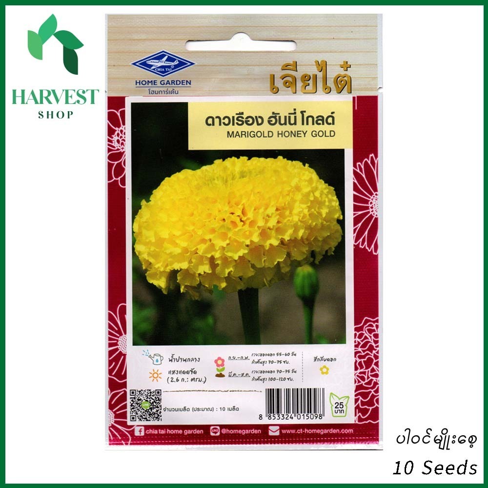 Harvest Shop ထပ်တရာပန်းမျိုးစေ့ HF 006