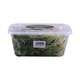 Inno Greens နေကြာပင်ပေါက် ၁၅၀ဂရမ်