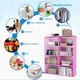 DIY Book Storage Shelf (Random)