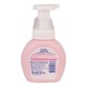Kirei Kirei Moisturizing Peach Antibacterial Family Foaming Hand Soap 250ML
