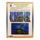 Science Adventures -3 (Su Pyae Sone Htun)