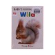 Baby's  Animal Wild Cards