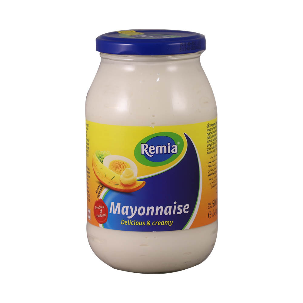 Remia Mayonnaise 482G