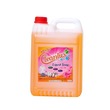 Cleanlux Liquid Soap 5L (Orange) 