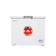 Master Chest Freezer MCF-255ES Gray