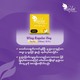 Lai Lai Wing Regular Day Use 250mm (10PCS)