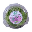 V Fresh ဆလပ်ရွက်အစုံ