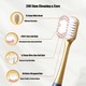 Premium Quality Toothbrush 6PCS (Random)