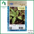 Harvest Shop ဖက်ကဖောင်အနီမျိုးစေ့ LF 008