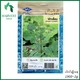 Harvest Shop ဟင်းဂလာမျိုးစေ့ LF 023