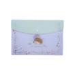 File Bag Snap Closure A022720