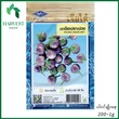 Harvest Shop ခရမ်းကြွပ်သီးမျိုးစေ့ EP 008