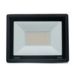 Kira LED Floodlight 6500K 100W