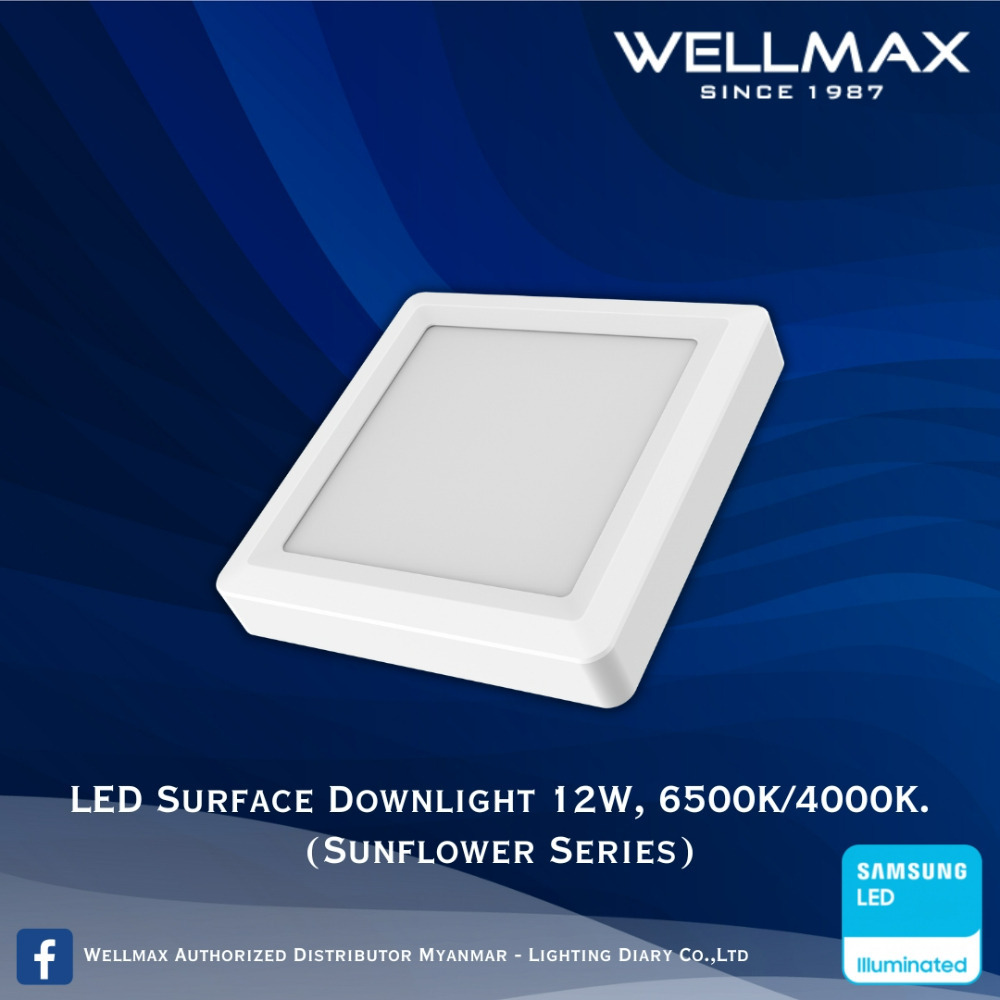 Wellmax Sunflower Series LED Surface Square Downlight 6500K 12W L-DL-0221(S)