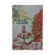 မေတ္တာများနဲ့ စိန်ပန်းနီနီ(တက္ကသိုလ်ဘုန်းနိုင်