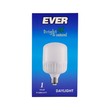 Ever Daylight Bulb 20W B22 (Pin)