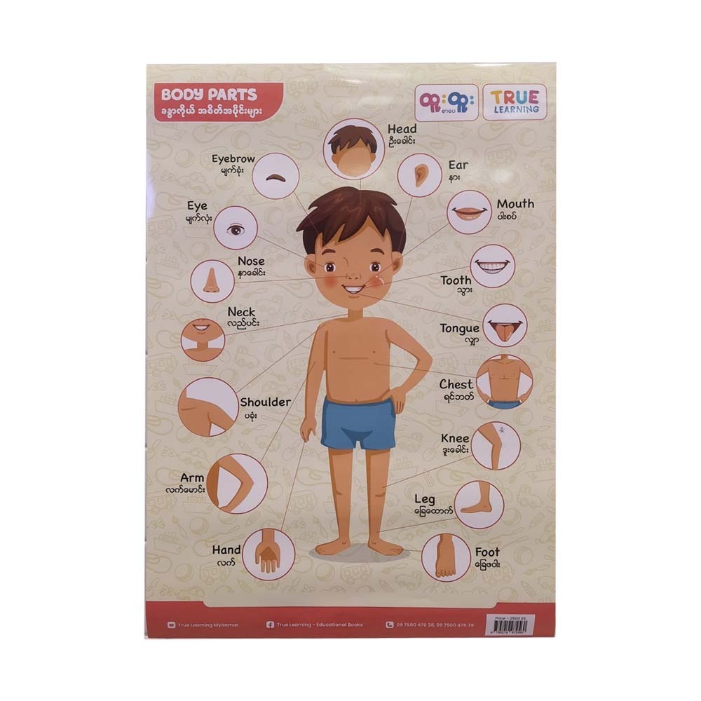BODY PART POSTER