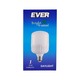 Ever Daylight Bulb 20W B22 (Pin)