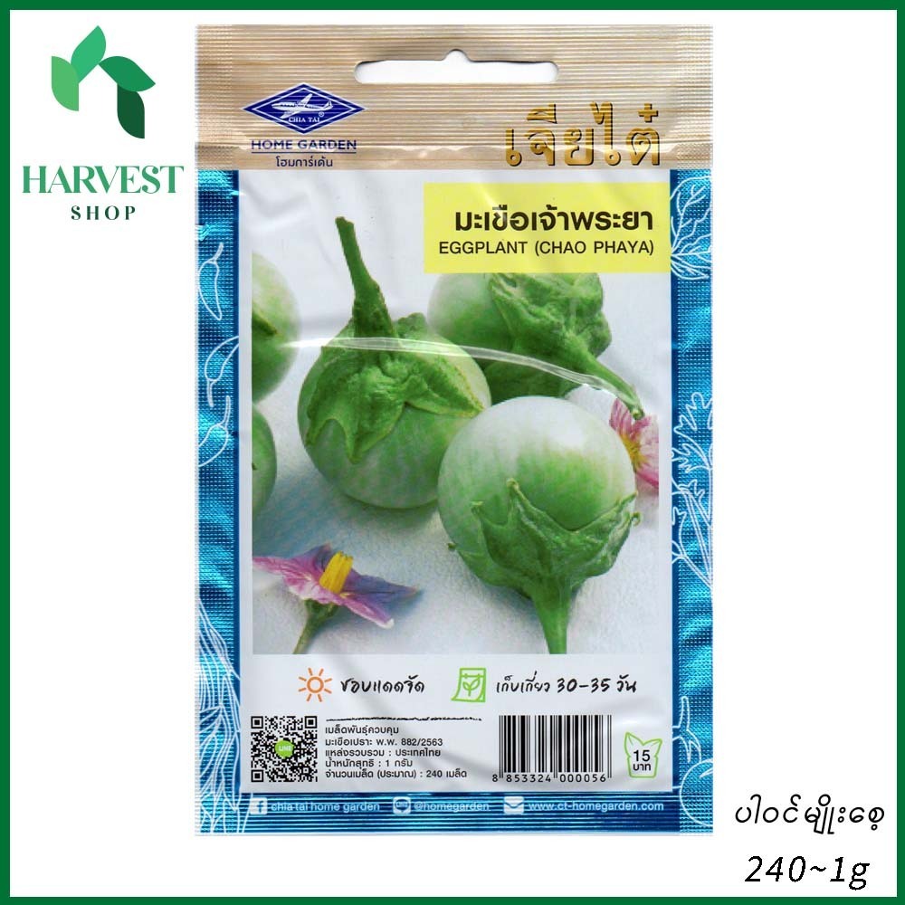 Harvest Shop ထိုင်းခရမ်းသီးမျိုးစေ့ EP 004