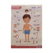 BODY PART POSTER