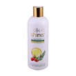 Silk-N Shine Tea Tree & Goji Berry Anti-Dandruff Shampoo 340G