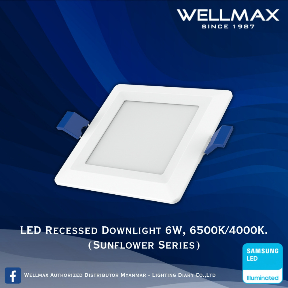 Wellmax Sunflower Series LED Recess Square Downlight 6500K 6W L-DL-0220(S)