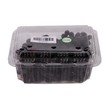 Moon Drop Grape 500G