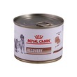 Royal Canin Dog Food Recovery 195G