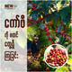 New Coffee Pure Fine Ground Coffee (Medium Dark Roast) 250G