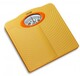 Camry  Mechanical  Scales  BR - 9706
