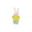 Rabbit Earser Green 20200001