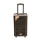81 10in Trolley Speaker Eto-Q10