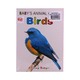 Baby's  Animal Birds Cards
