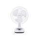 Tiger Rechargeable Table Fan 12IN RTF-9999 (PRO)