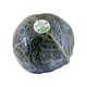 Savoy Cabbage