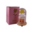 Light Table Decoration A021575