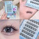 Eyelash (Glue Free)