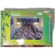 Leona Single Bedsheet BS07 (L Single-287)