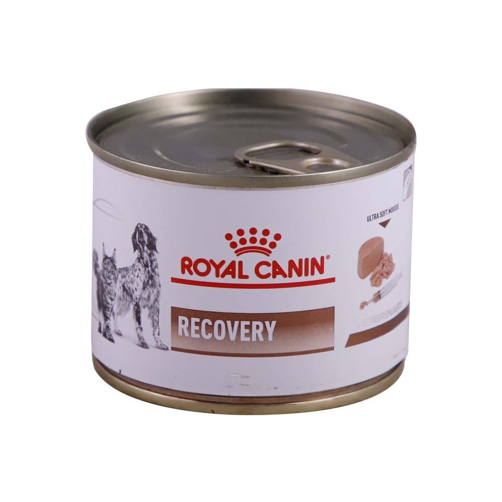 Royal Canin Dog Food Recovery 195G