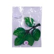 PF Padauk Leaf 10PCS