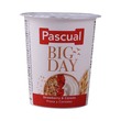 Pascual Yoghurt Big Day Strawberry&Cereals 125G