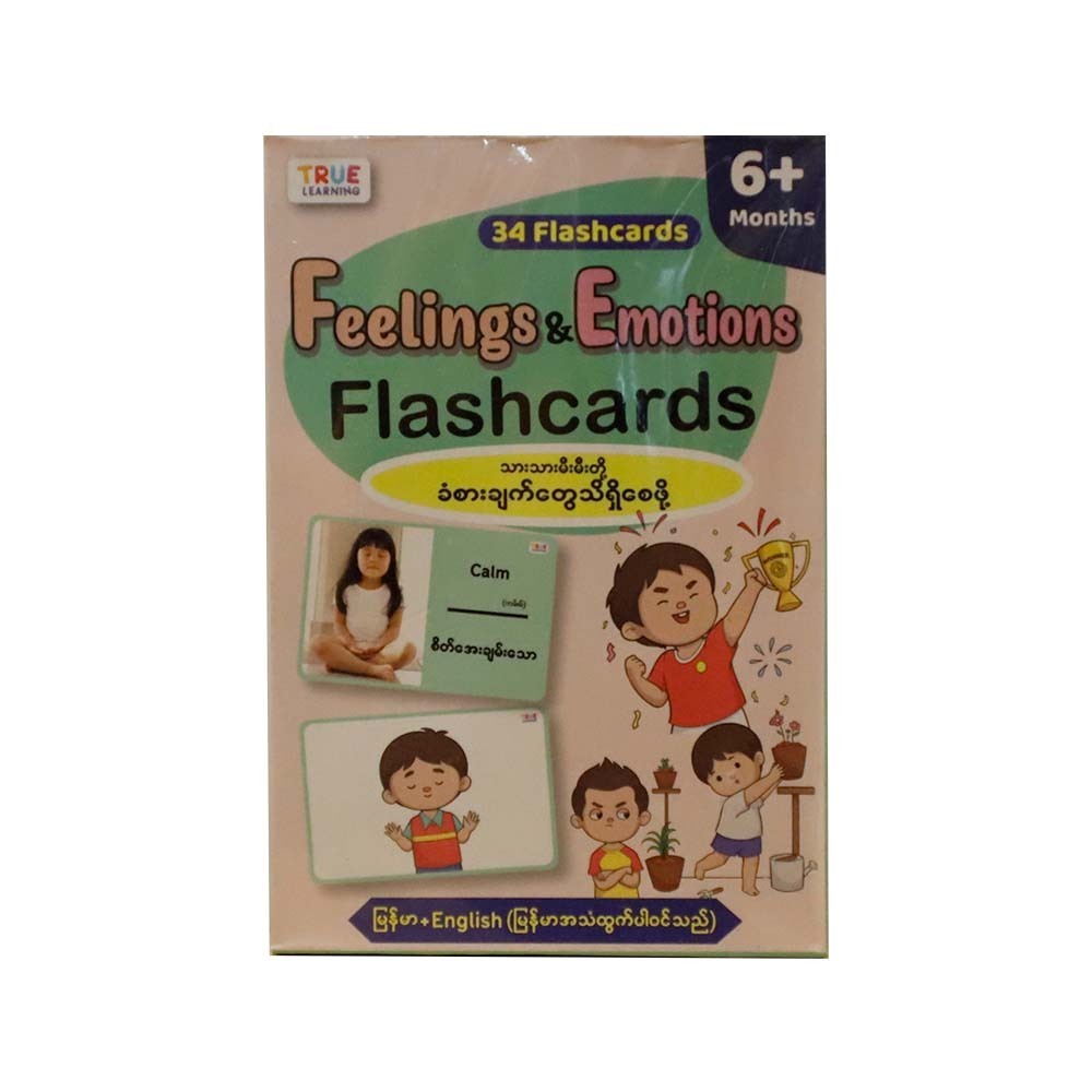 Feelings & Emotions Flashcards (True Learning