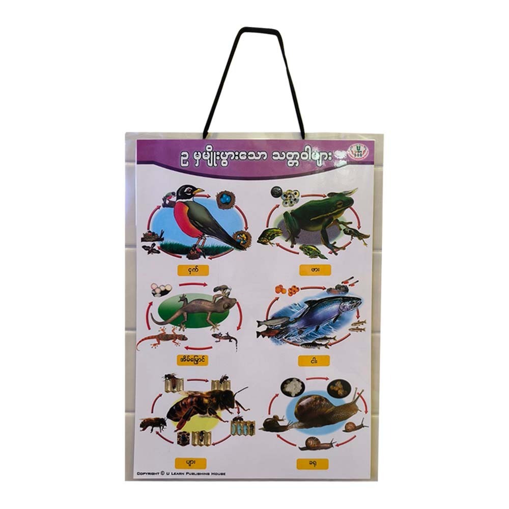 U Learn Egg Poster