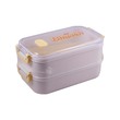 2Layer Lunch Box ML-8169